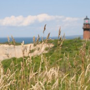 Martha’s Vineyard Vacation