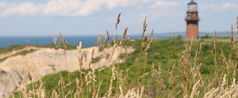 Martha’s Vineyard Vacation